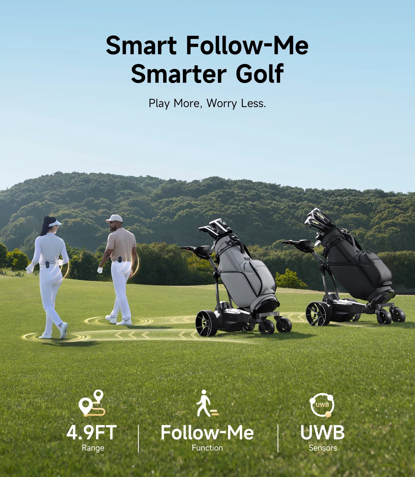 The electric golf buggy