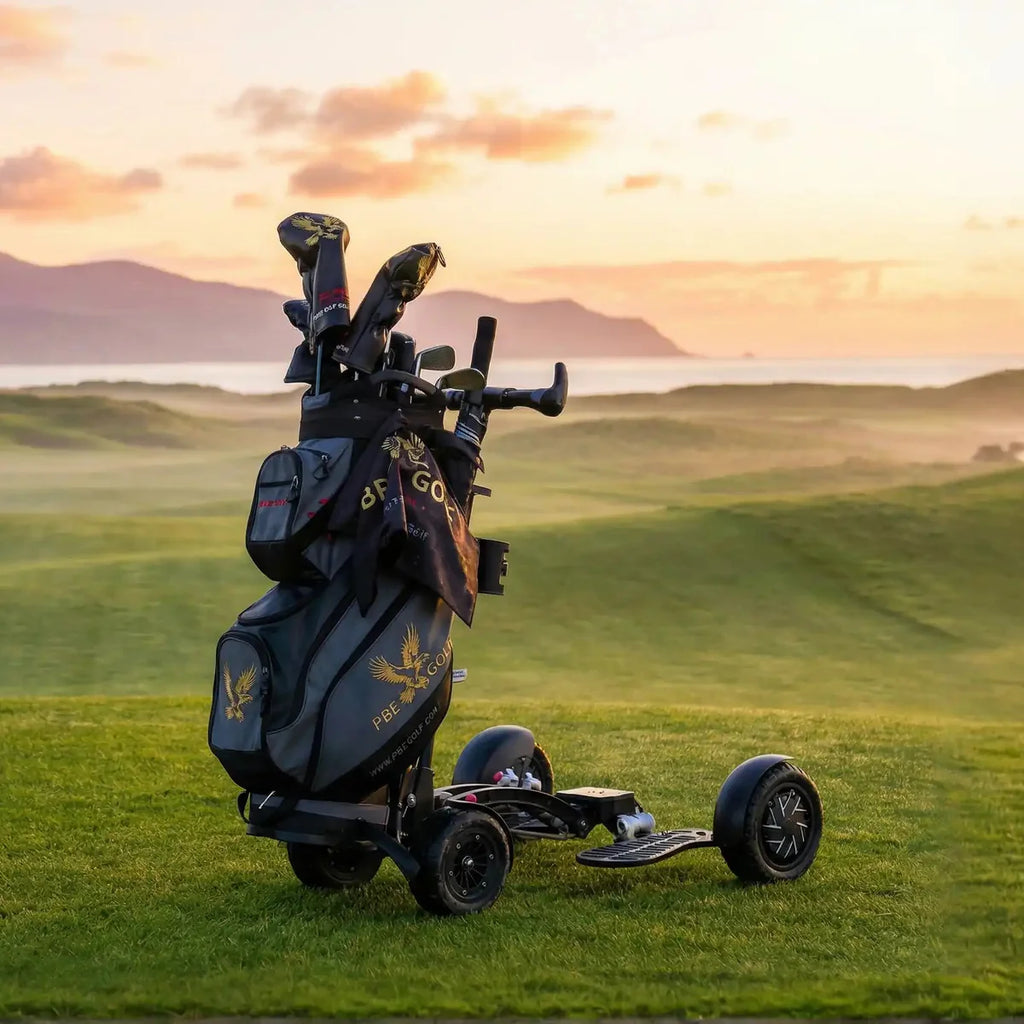 The electric golf buggy