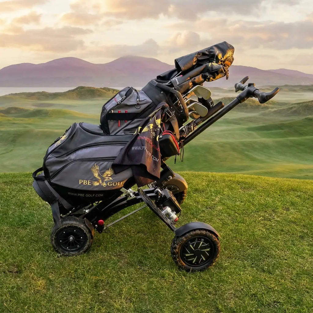 The electric golf buggy