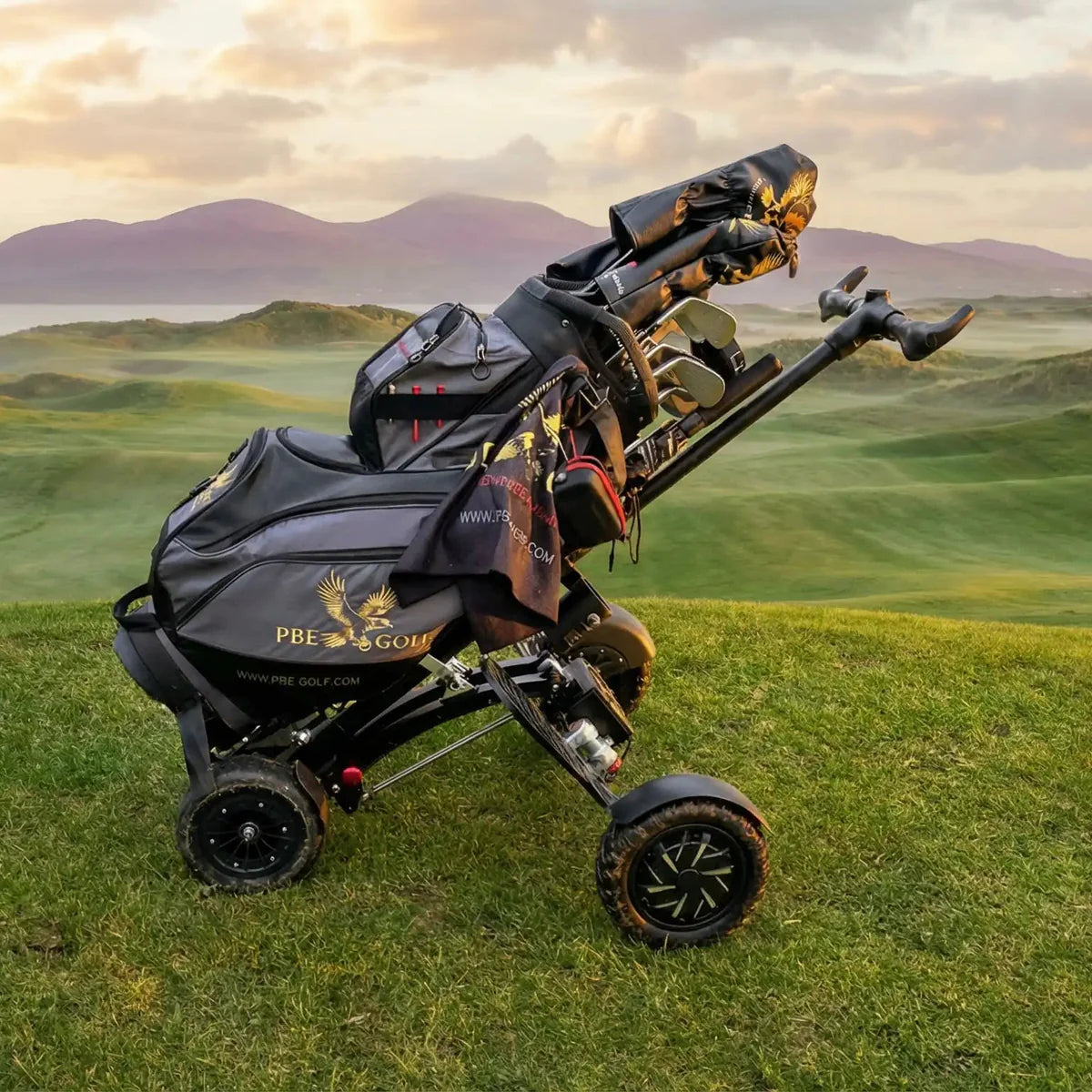 The electric golf buggy