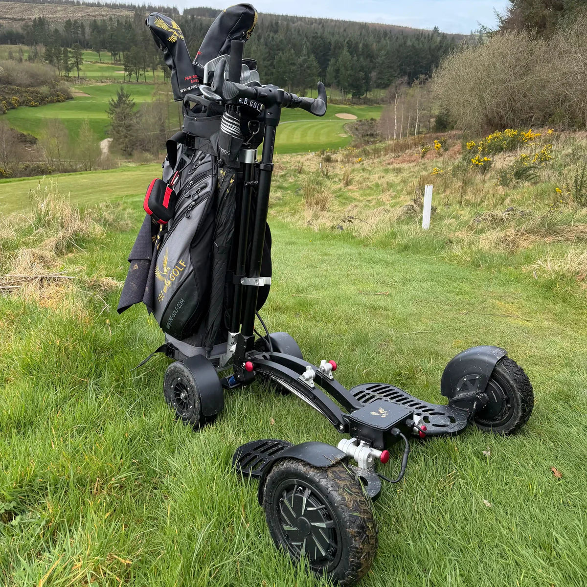 The electric golf buggy