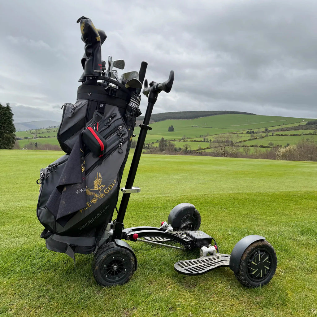 The electric golf buggy